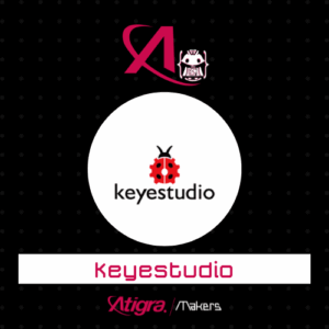 Keyestudio